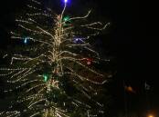 Lights like these at Warrnambool's Civic Green are erected each year for the festive season. Picture file
