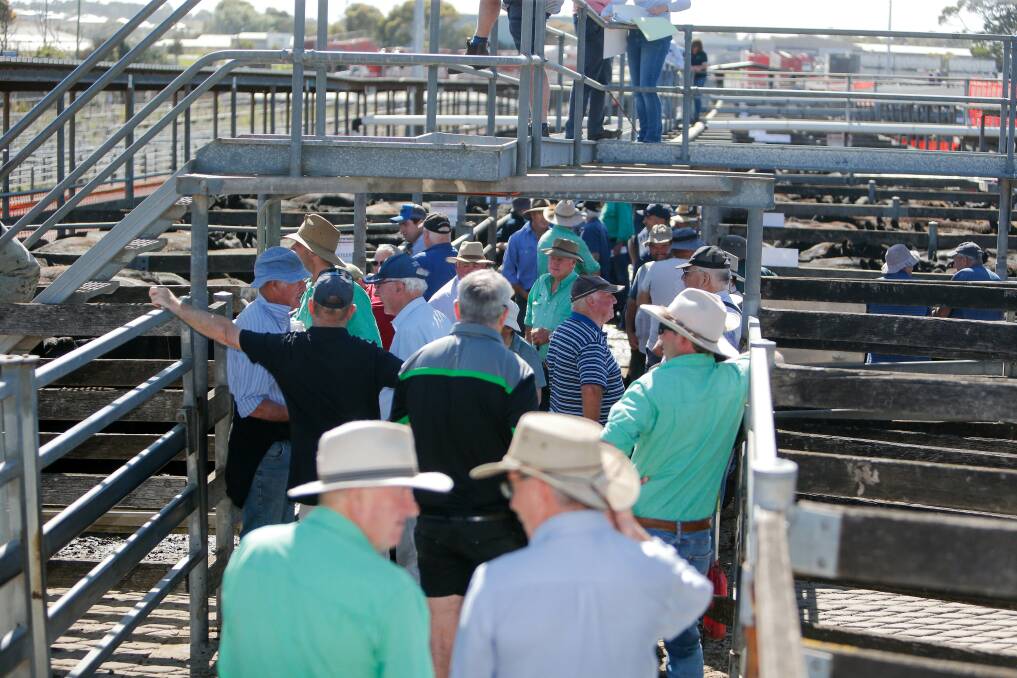 Future: What's in the city's saleyards for ratepayers, asks Chris O'Connor.