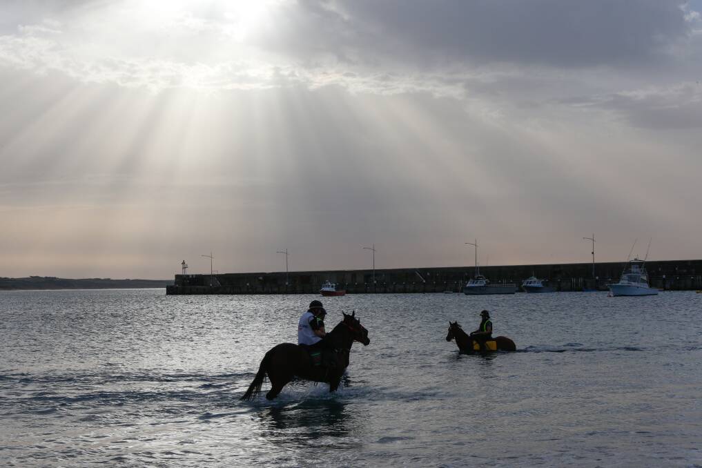 Returning?: Could race horses return to Warrnambool's Lady Bay next week after the beach was closed almost two months ago because of COVID-19 restrictions? Picture: Mark Witte