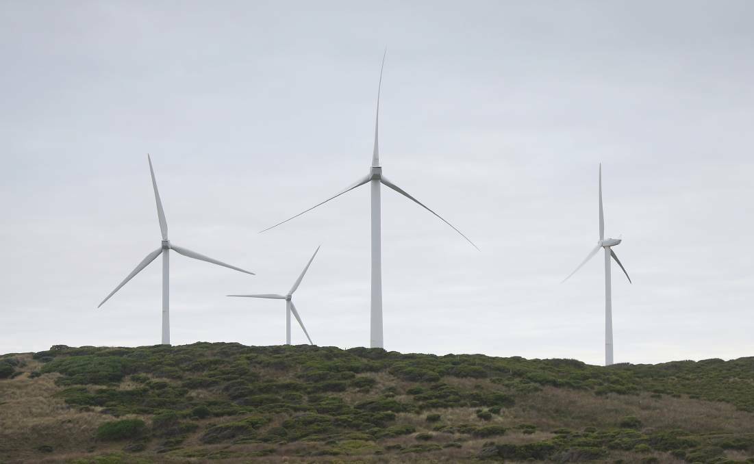 Hundreds of bird, bat carcasses detected at wind farm 'not a concern'