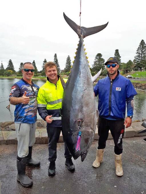 BIG CATCH: Jarrod Williams (centre) with the 141 kilogram tuna he reeled in near Lawrence Rocks in Portland on Monday: "It's always been a dream of mine." Pictures: Supplied.