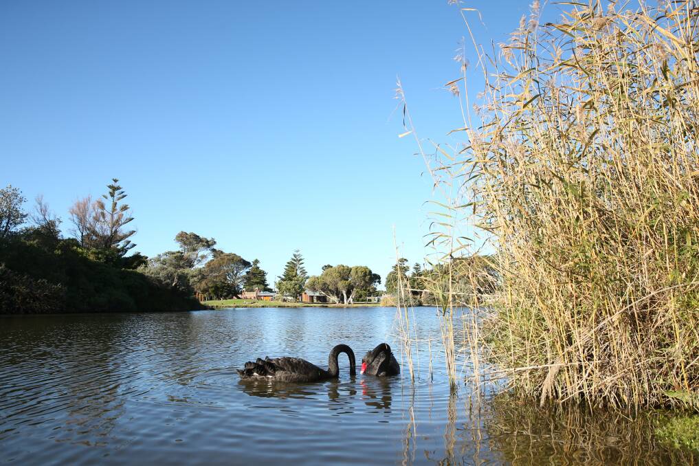 SUNNY: The sun was shining on Warnambool's Lake Pertobe on Thursday after a drier than usual first month of winter. Picture: Mark Witte