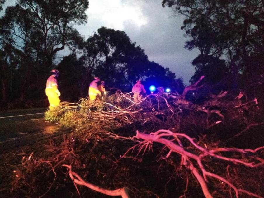 Hamilton SES volunteers working to clear a tree from the road.