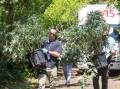 Detectives clear out a grow house following a blaze in Camperdown. Pictures by Anthony Brady.