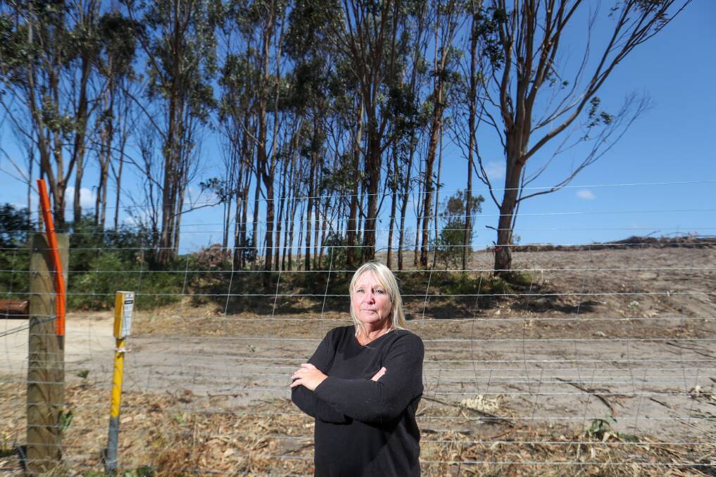 Portland resident Helen Oakley has found a number of dead koalas at Thistle Road, just four years after she witnessed the aftermath of a logging operation that killed dozens of the animals near Cape Bridgewater. Picture file