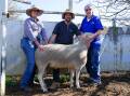 Imogen and Daniel Hooper, Vortex White Suffolks & Charollais, and Bryan Stannard, Tallygaroopna, with the top-priced White Suffolk ram, Lot 2. Picture by Rachel Simmonds