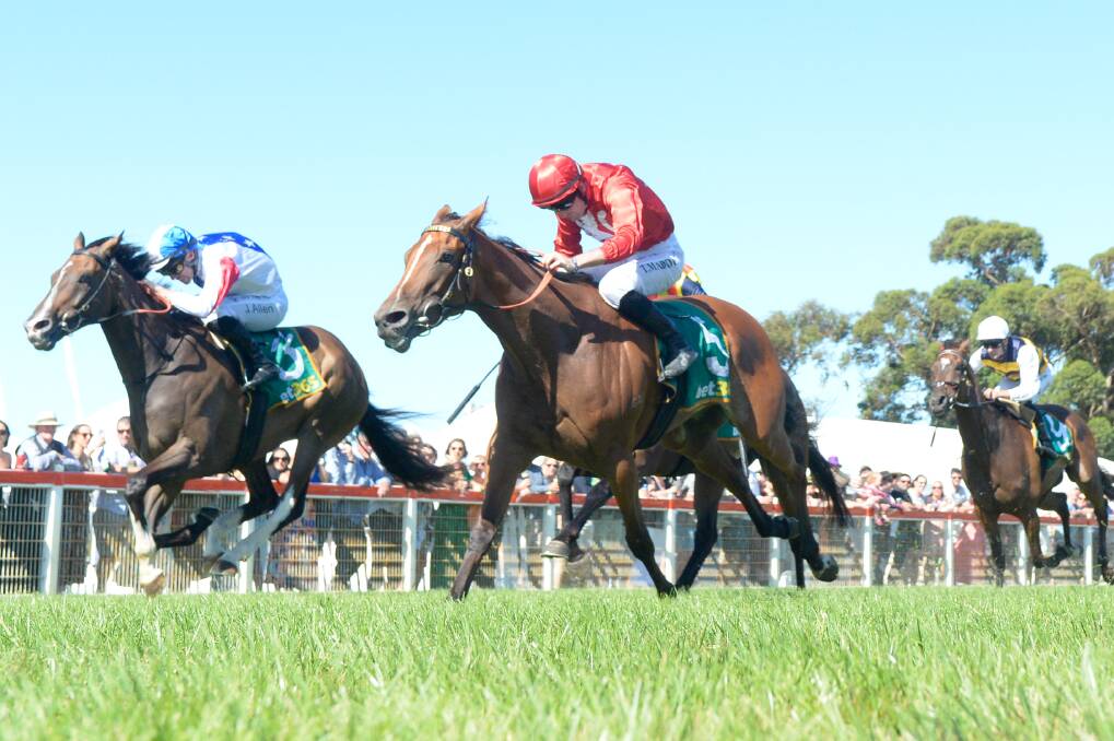 Glitter 'N' Gold, ridden by Tom Madden, wins the Colac Cup. Picture by Brett Holburt/Racing Photos 