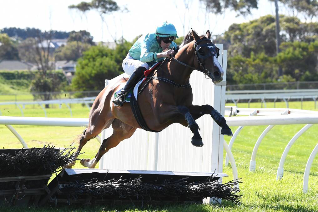 LEAP OF FAITH: Scholarly, with jockey Shane Jackson in the saddle, jumps a hurdle on the way to winning a maiden hurdle at Warrnambool on Tuesday. Picture: Pat Scala/Racing Photos