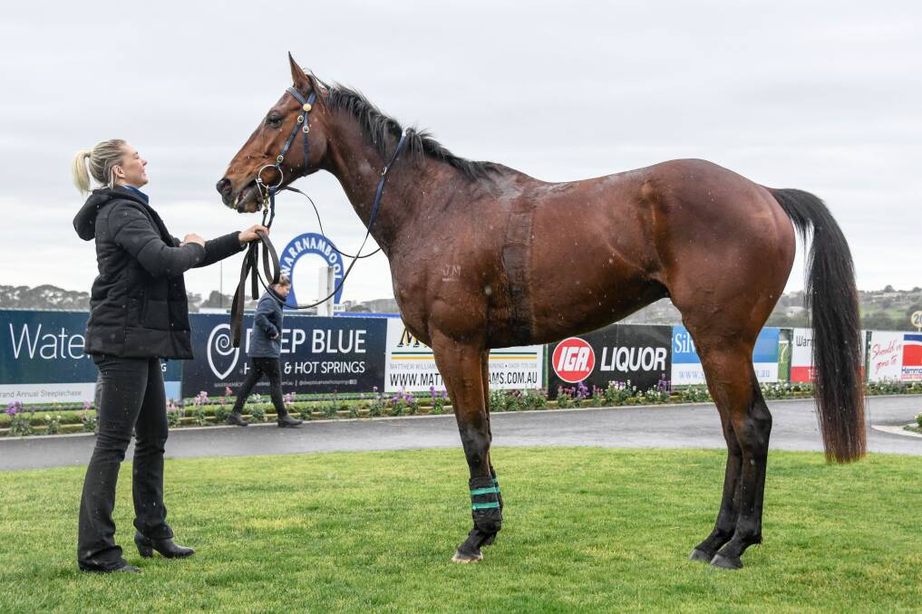 HOME TRACK: Robbie's Star won a maiden hurdle at Warrnambool racecourse in 2019. Picture: Alice Laidlaw/Racing Photos