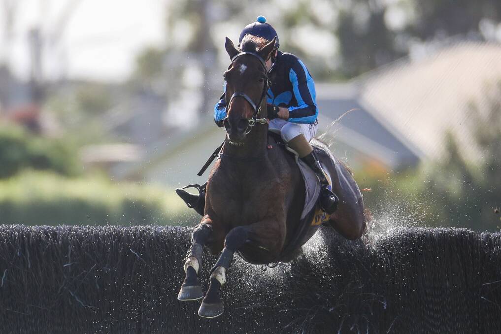 LEAP OF FAITH: Darryl Horner aboard Flying Agent in the Brierly Steeplechase on Tuesday. Picture: Morgan Hancock 