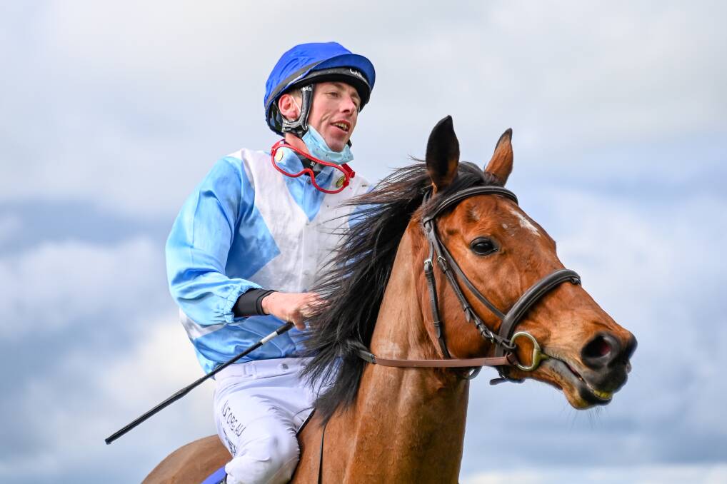 SUCCESS: Accounted Four, ridden by Chris McCarthy, returns to scale after winning Great Western Steeplechase at Coleraine. Picture: Alice Miles/Racing Photos