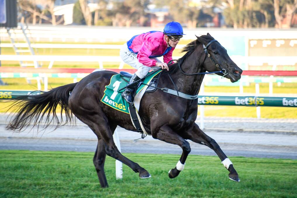 A Good Yarn, ridden by Jarrod Fry, wins a BM70 handicap at Geelong Racecourse earlier this month. Picture: Reg Ryan/Racing Photos