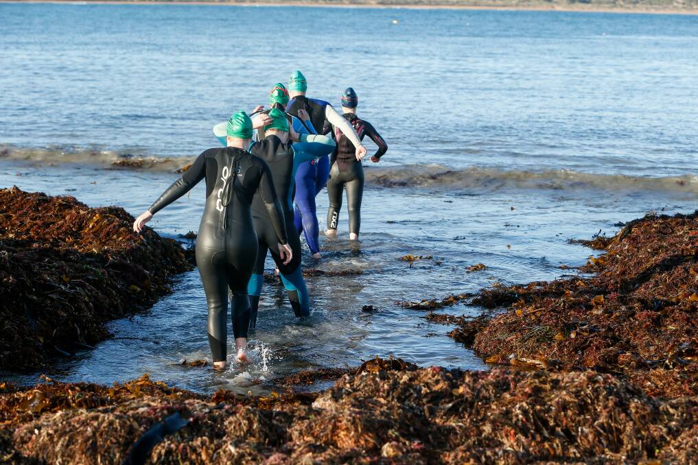 BRAVING THE COLD: Warrnambool Swimming Club members are making the most of the ocean. Picture: Anthony Brady