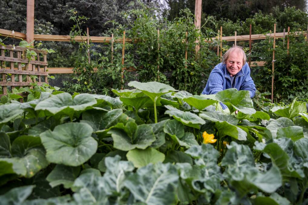 WORTH IT: Richard Crawley's garden is a testament to his determination. Picture: Morgan Hancock