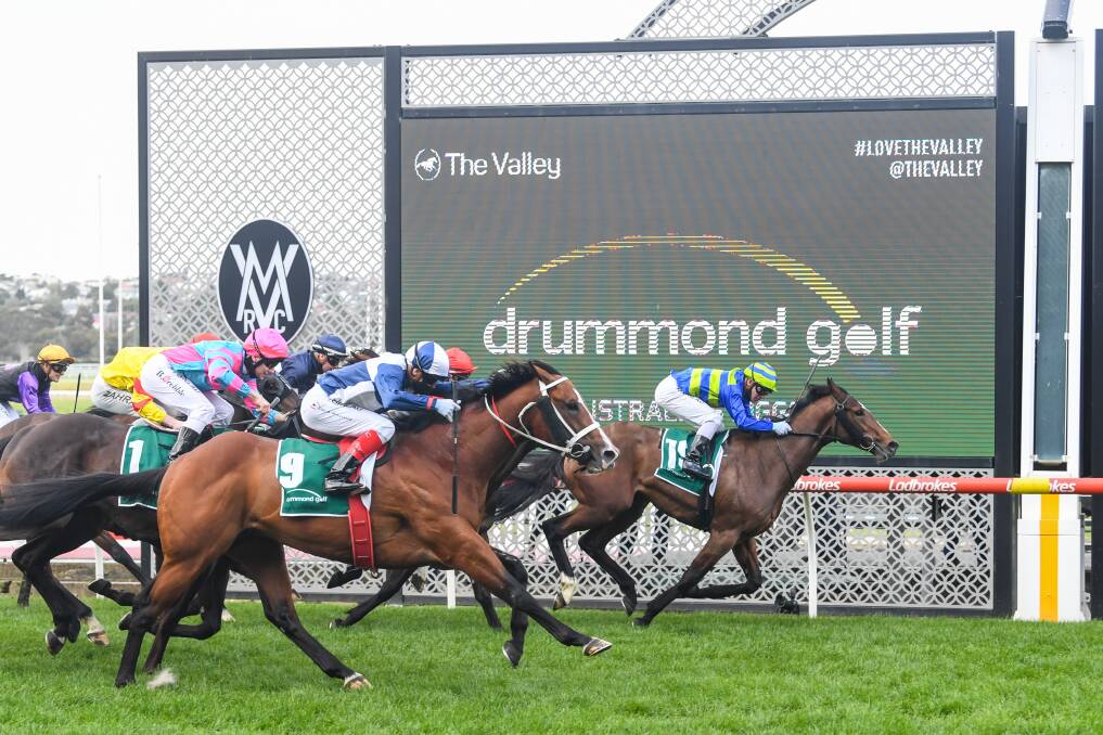 OUT IN FRONT: Flash Flood, ridden by Ben Melham, wins at Moonee Valley on Saturday for training duo Ciaron Maher and David Eustace. Picture: Natasha Morello/Racing Photos 