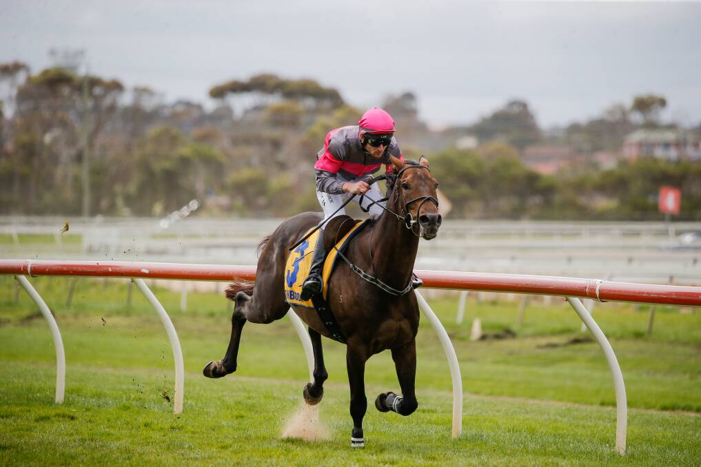 C'MON: Britannicus, with Aaron Lynch in the saddle, wins the race three steeple at Warrnambool on Friday. Picture: Anthony Brady 
