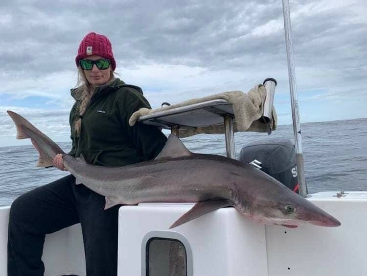 Amanda Pirotta landed a couple of nice shark on Sunday including a solid school shark weighing 22.5 kilograms. Pictures supplied