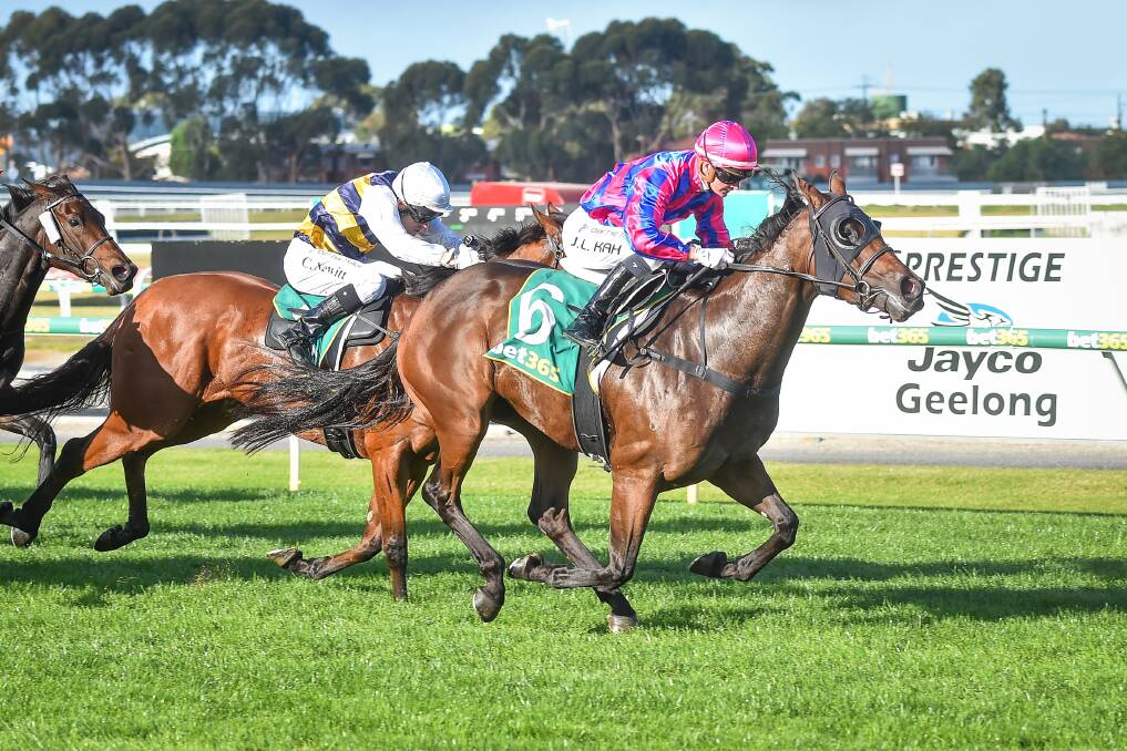 TALENTED: Jamie Kah racing Geelong earlier this month. She will be out to score results at the May carnival in Warrnambool. Picture: Reg Ryan/Racing Photos