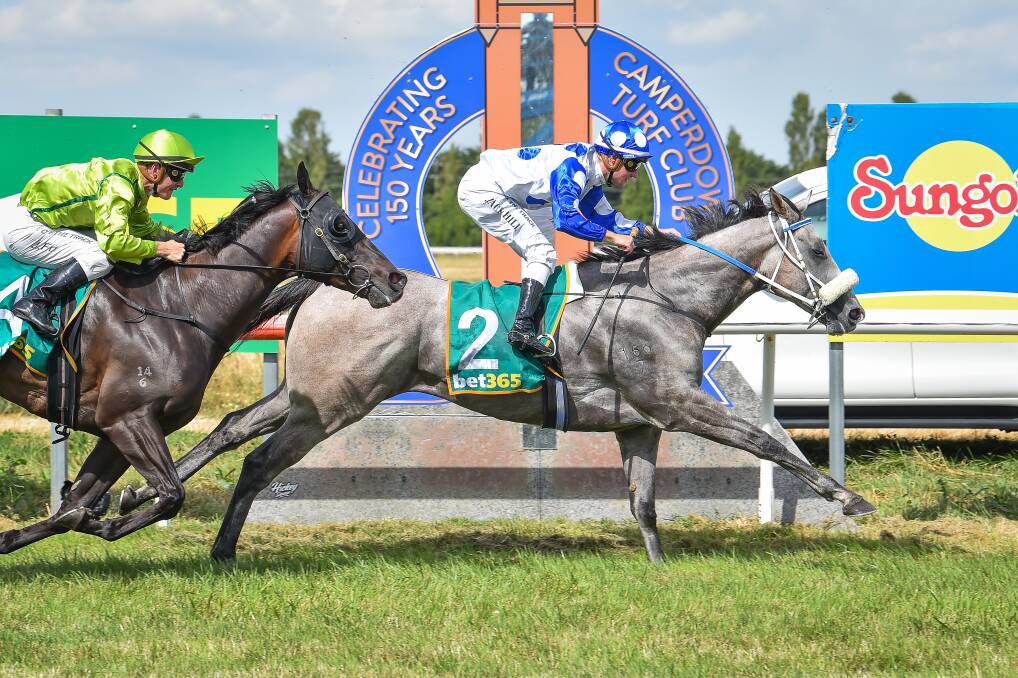 Riot And Rose, ridden by Jack Hill, wins the Camperdown Cup on Saturday. Picture by Reg Ryan/Racing Photos 