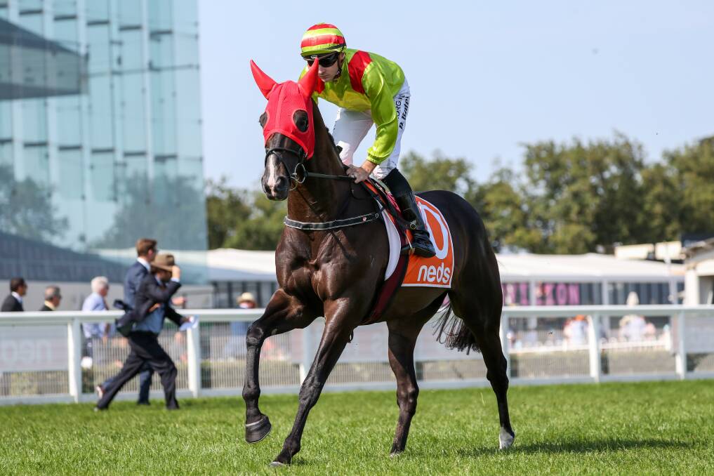RETURN: Begood Toya Mother, ridden by Declan Bates, at Caulfield in February. Begood Toya Mother will gallop at Warrnambool on Thursday after a spell. Picture: George Salpigtidis/Racing Photos