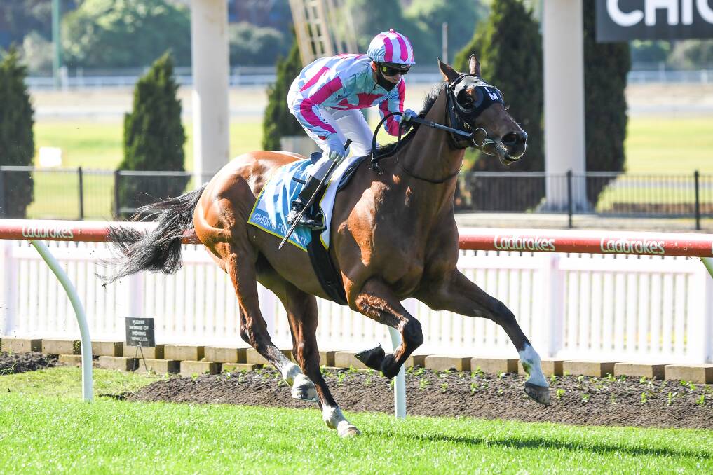 WINNING WAYS: Al Galayel, ridden by Ben Melham, wins at Moonee Valley Racecourse on Saturday. Picture: Pat Scala/Racing Photos 