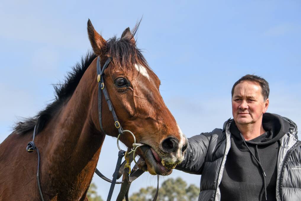 READY TO RUN: Trainer Peter Chow with Robbie's Star last year. Robbie's Star will race for the Warrnambool stable on Thursday. Picture: Alice Laidlaw/Racing Photos 