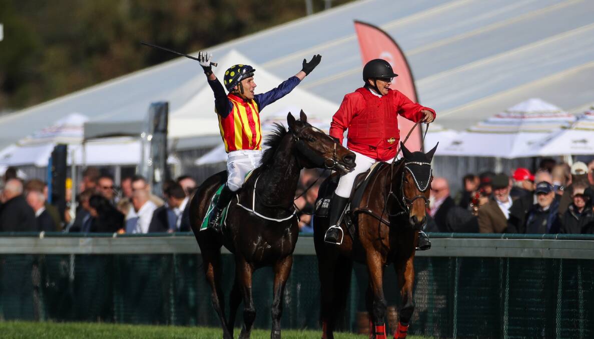 CROWD-PLEASER: William McCarthy encourages race fans to lap up his Grand Annual Steeplechase win. Picture: Morgan Hancock 