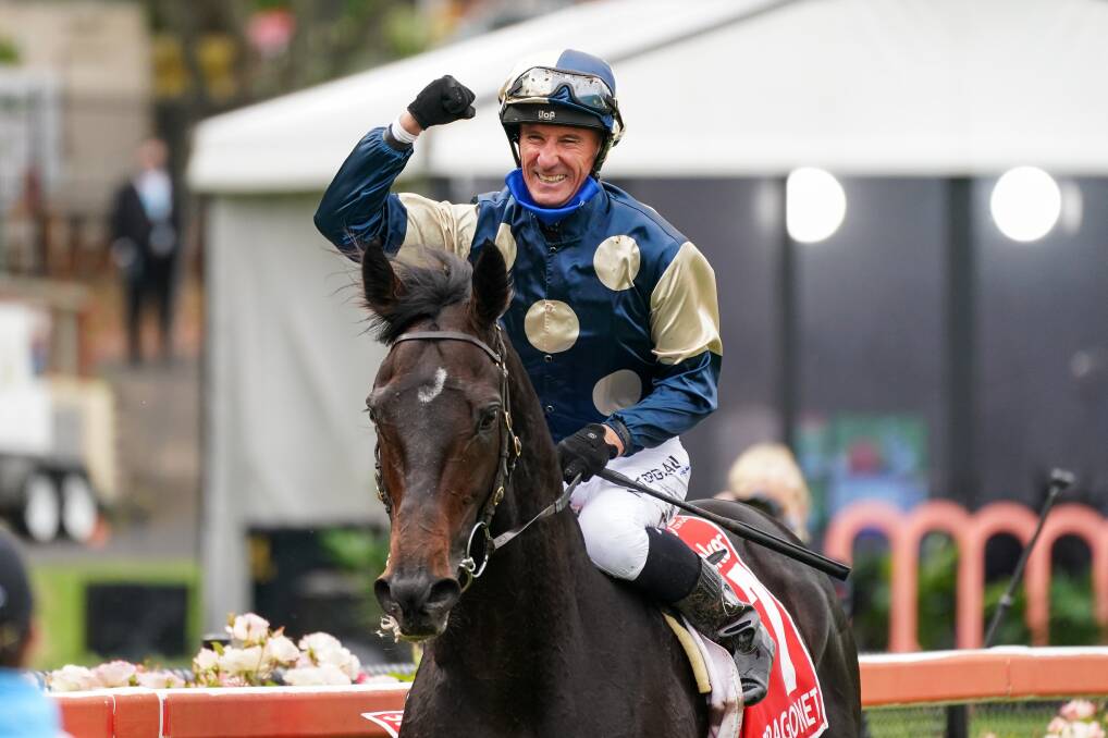 C'MON: Glen Boss returns to the mounting yard aboard Sir Dragonet after winning the Cox Plate at Moonee Valley. Picture: Scott Barbour/Racing Photos