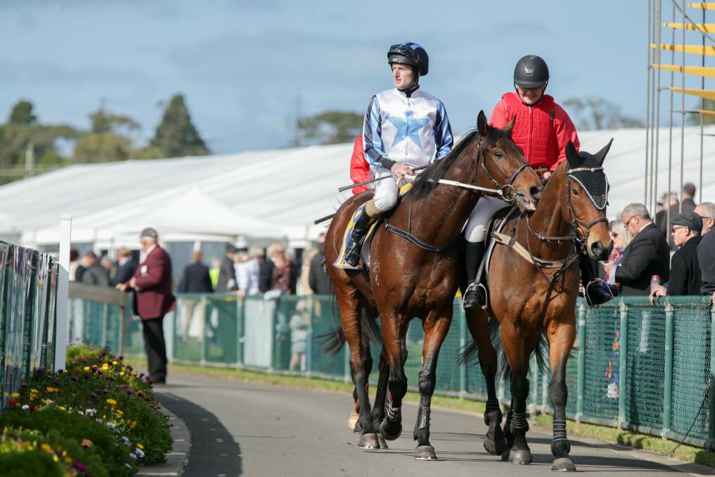 IDEAL START: Out And Dreaming with jockey Darryl Horner onboard. They won race one. Picture: Chris Doheny