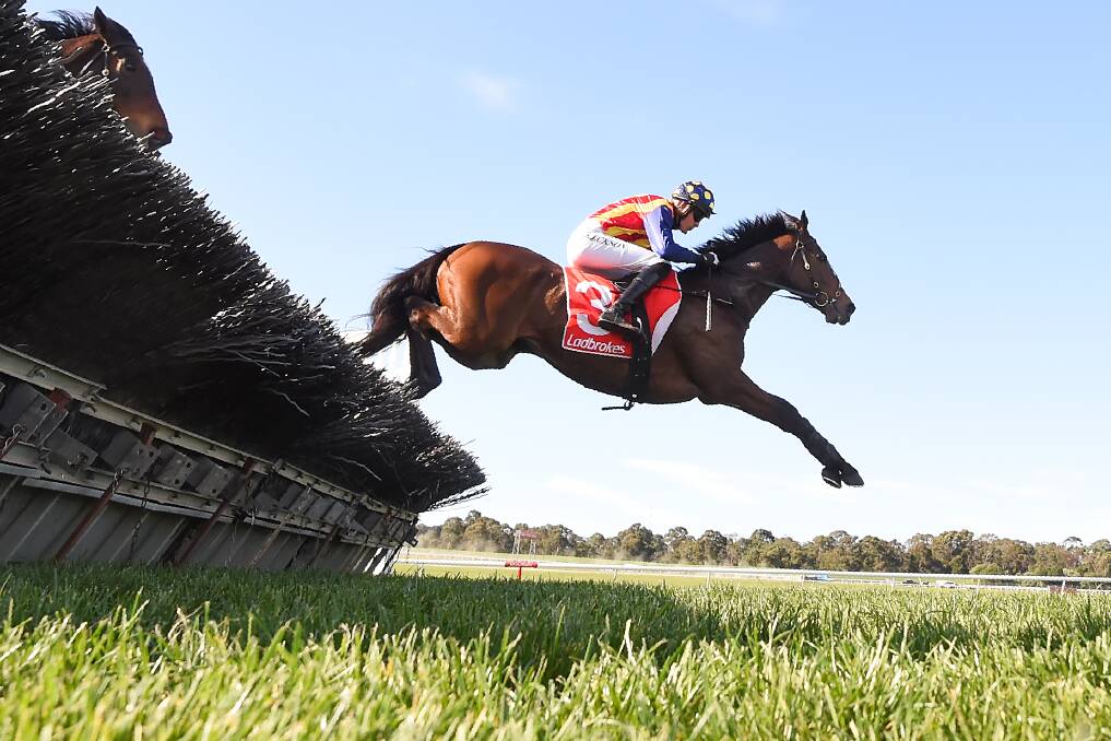 LEAP OF FAITH: Ablaze, ridden by Shane Jackson, jumps a hurdle on the way to winning the Grand National Hurdle on Sunday. Picture: Pat Scala/Racing Photos