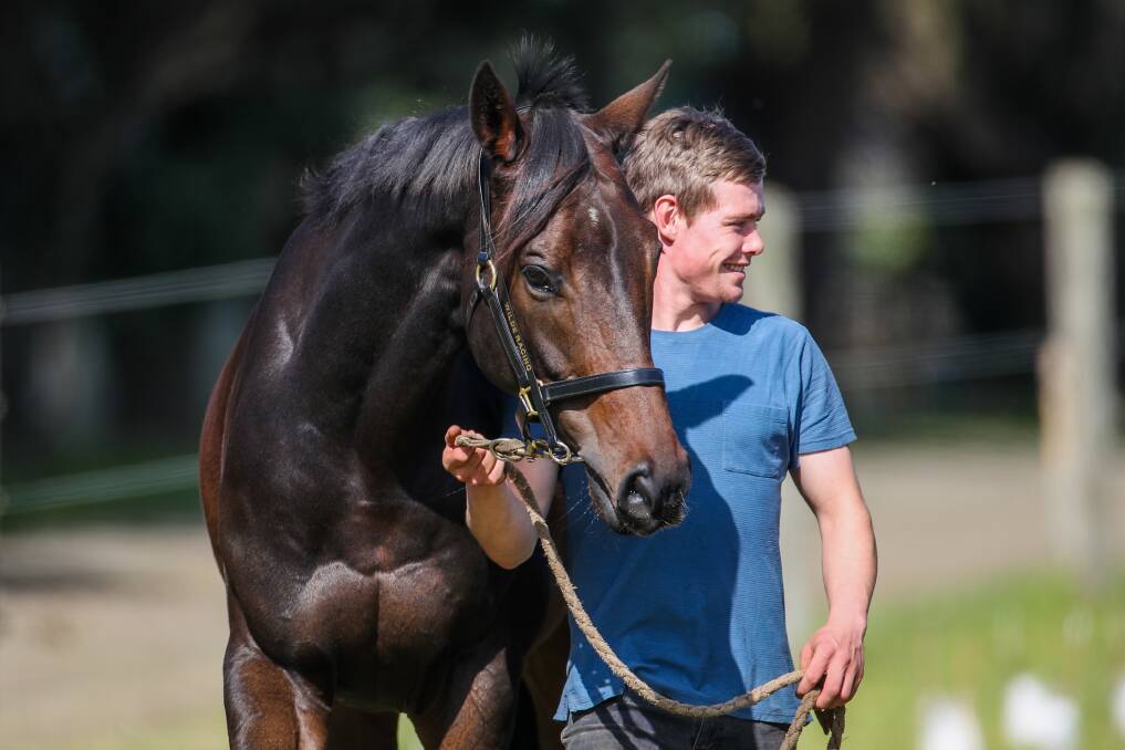 BUSY WEEK: Irish-born jockey Ronan Short alongside Britannicus, which will run for the Wilde stable in Wednesday's Galleywood. Short also has rides in the Galleywood and Tuesday's main race, the Brierly Steeplechase. Picture: Morgan Hancock