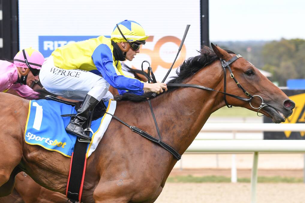 Riding The Wave, ridden by Will Price, wins at Ballarat Racecourse on Saturday. Picture: Pat Scala/Racing Photos