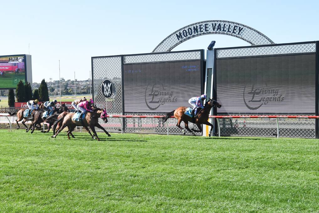ON TRACK: Al Galayel, ridden by Ben Melham, wins at Moonee Valley Racecourse on Saturday for trainers Ciaron Maher and David Eustace. Picture: Pat Scala/Racing Photos 
