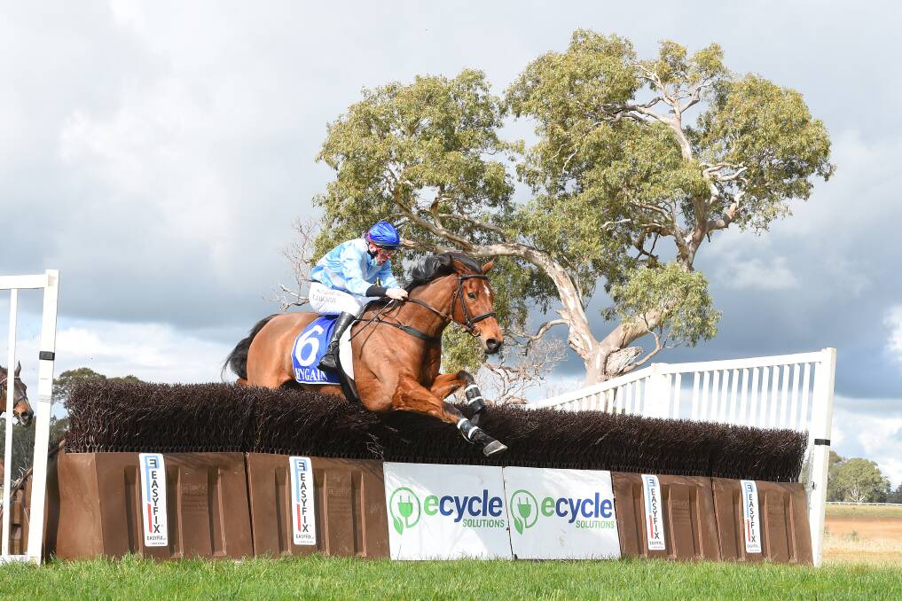 LEAP: Accounted Four, ridden by Chris McCarthy, jumps a steeple on the way to winning the Great Western Steeplechase at Coleraine. Picture: Pat Scala/Racing Photos 
