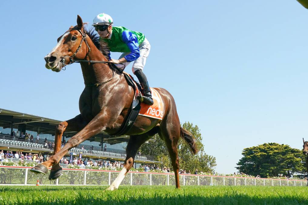 Quintello, ridden by Teodore Nugent, wins at Mornington Racecourse on Saturday. Picture: Scott Barbour/Racing Photos 