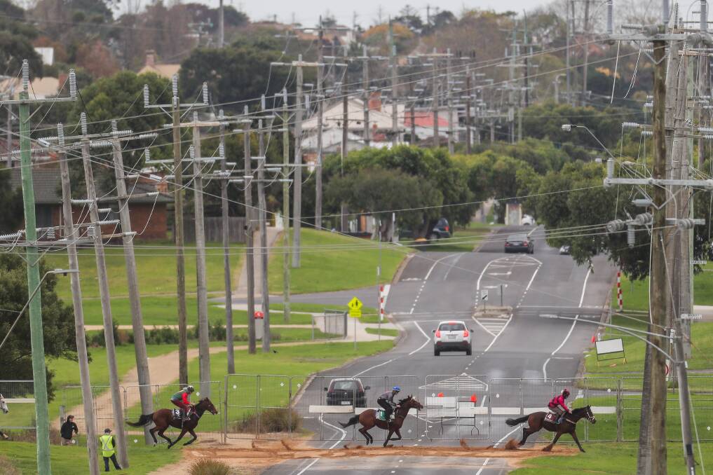 STOPPING TRAFFIC: Horses cross Warrnambool's Moore Street during trials on Tuesday. Picture: Morgan Hancock 