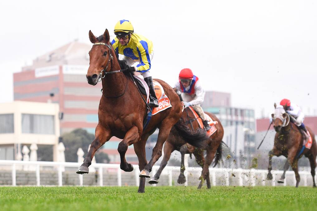 FINISH LINE: Mystery Shot, ridden by Michael Rodd, wins at Caulfield on Saturday. Picture: Pat Scala/Racing Photos