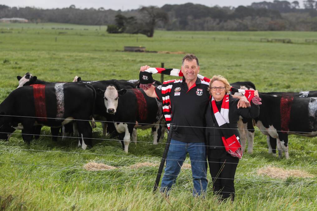 MOOVING TO THE SEMI-FINALS: Rowan Marshall's parents Don and Jan painted their cows to support St Kilda's finals campaign. Picture: Morgan Hancock 