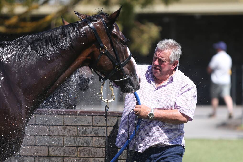 VICTORY: Trainer Eric Musgrove left Warrnambool racecourse a winner on Thursday. Picture: Mark Witte 