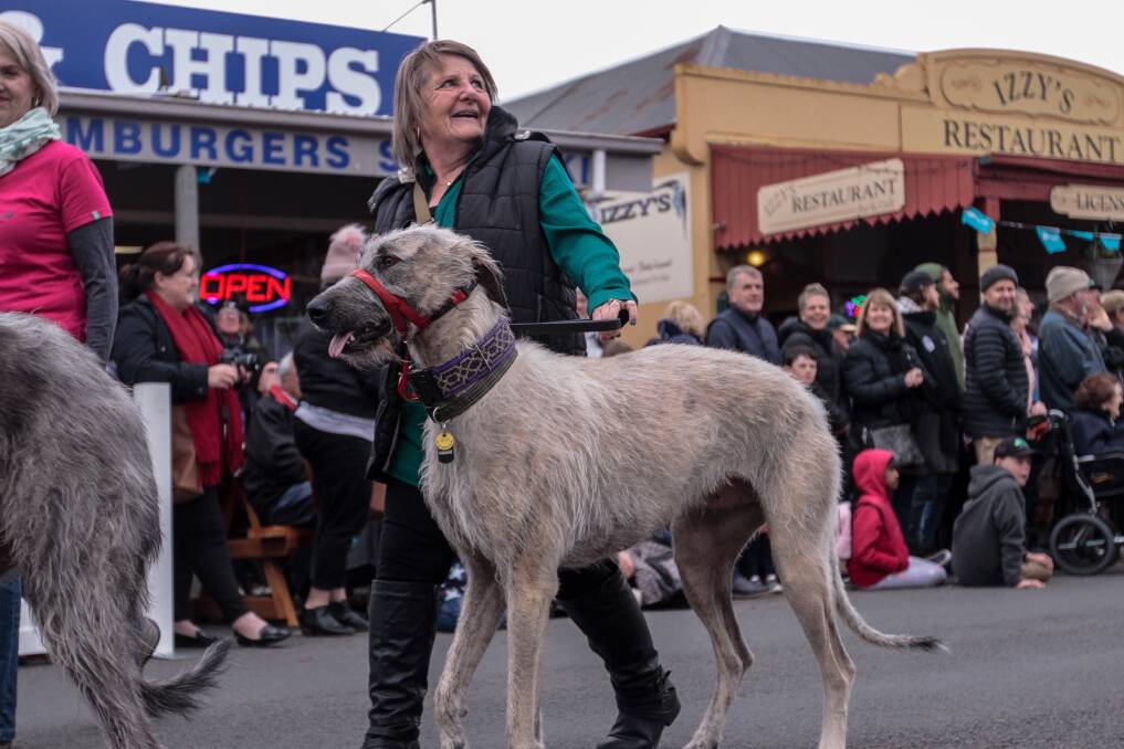 RETURN: More than 10 dogs from the Irish Wolfhound Club of Victoria will be part of the Koroit Irish Festival Street Procession this Saturday after the club made its debut in 2019.