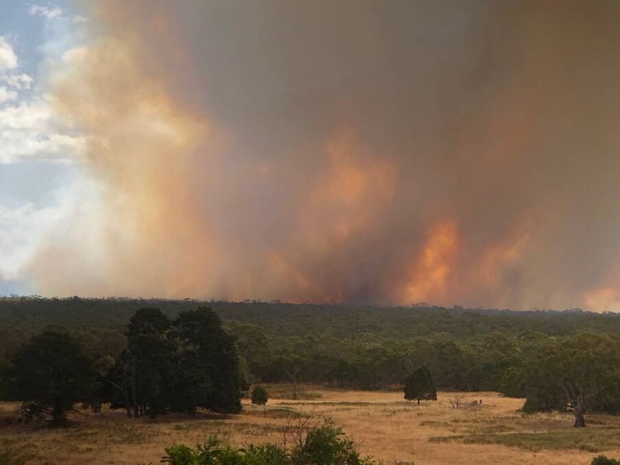 BLAZE: Terry Sim, who lives on the edge of the east side of Budj Bim National Park took this photo of the fire currently out-of-control in the UNESCO World Heritage Site.