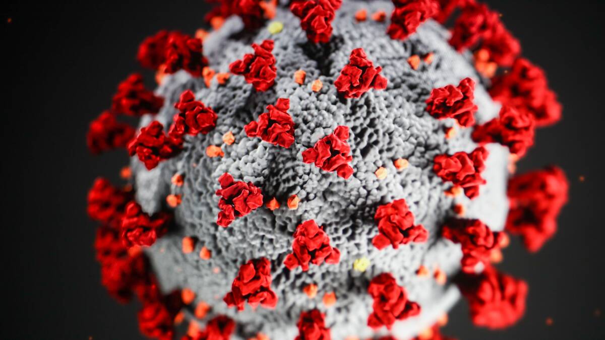 Rolling coronavirus coverage: South-west records two new cases