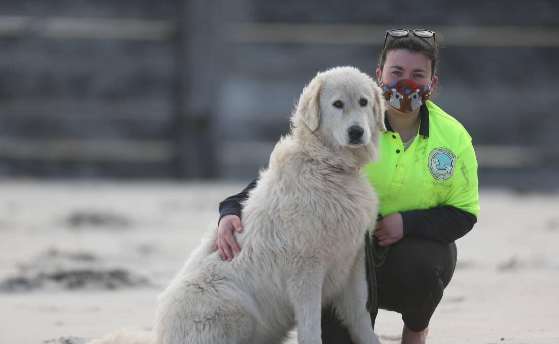 Olivia Pagotto walks Isola who is 2 and a half years old down on the beach. Picture: Mark Witte