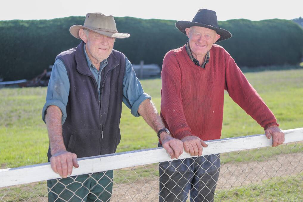 VETS: Grand Annual Steeplechase-winning trainers Frank and Kevin Conheady have been involved with horses for years. Picture: Morgan Hancock