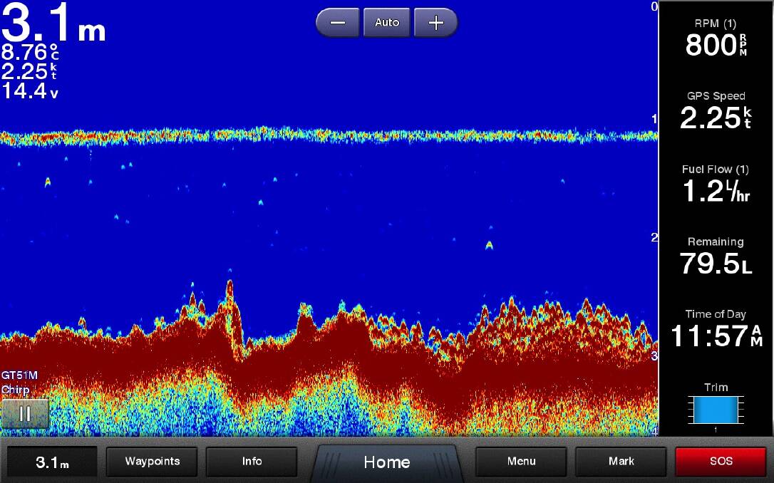 TECH: An example of the thermocline on a fish finder, with the many bream sitting below it on the bottom. 
