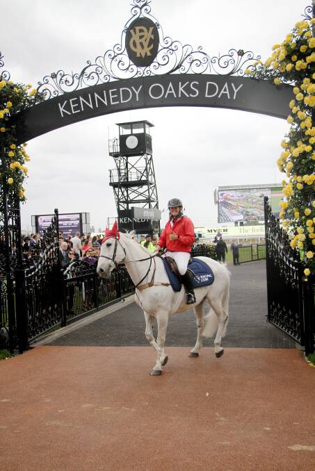 TREMENDOUS DAY: Janet Williams was clerk-of-course at Flemington on Oaks Day last year. Picture: Supplied