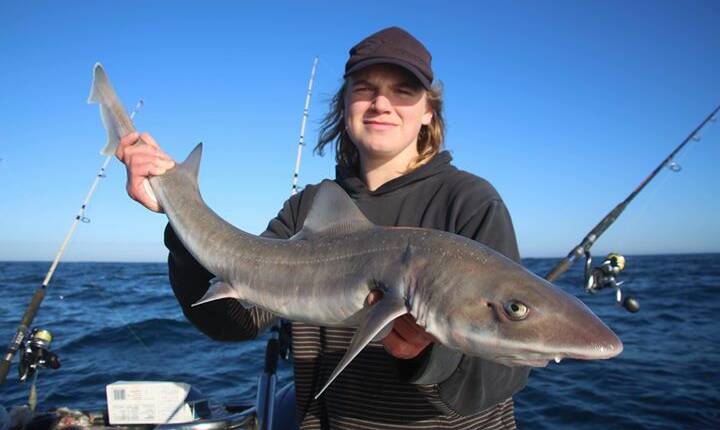 YOU BEAUTY: Isaac Ferguson shows off a gummy shark that he caught last Friday. If you have a cracking fishing picture you would like to share, send it - along with a few details - to fishing@richardsonmarine.com.au
