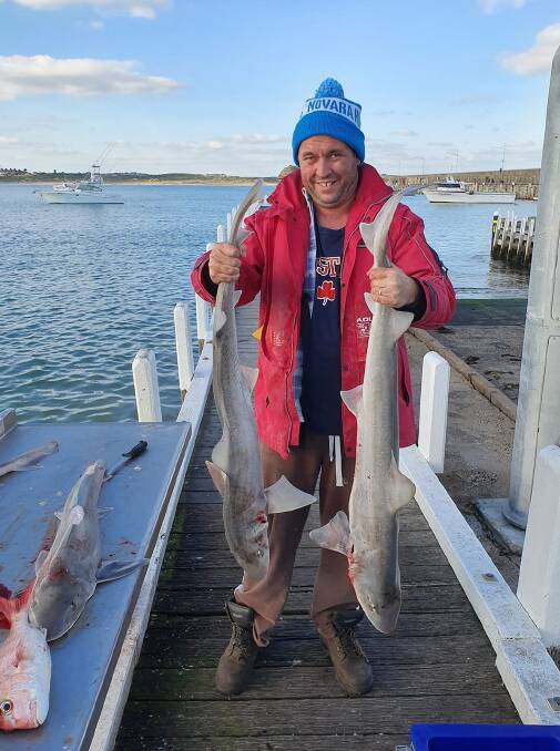 BEAUTIES: Gerard Smith with some nice gummies ... Giggles and his mate Brett got four nice shark and spied a heap of tuna on their way down the coast. Send your pics, along with a few details, to fishing@richardsonmarine.com.au