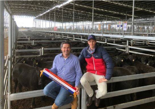 WINNER: Ken Davis of Condah Hills, pictured with LMB Livestock agent Hugh Douglas, again had the best-presented pen of steers. These Angus steers were first cab off the rank and sold for 302c/kg (avg. weight 526.2kg). Ken also had the highest-priced pen of steers in the next pen, which sold for a market-top of 322c/kg (avg weight 505.5kg).