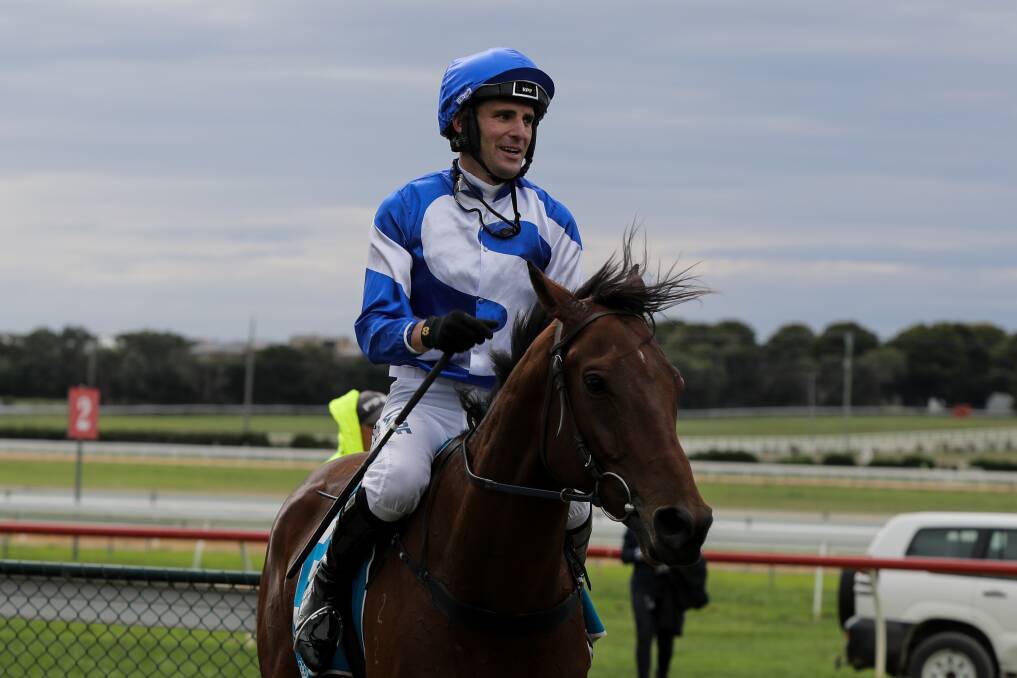 ROLLING: Champion jumps jockey Steven Pateman was impressed with Big Blue’s win at an all-jumps program. Picture: Rob Gunstone